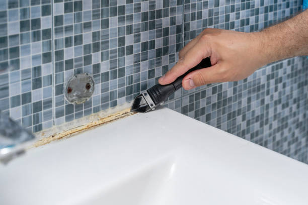Best Attic Mold Removal  in Clifton, IL